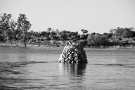The Carn - Coopers Creek